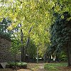 Parc